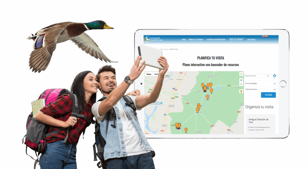 banner planificavieaje