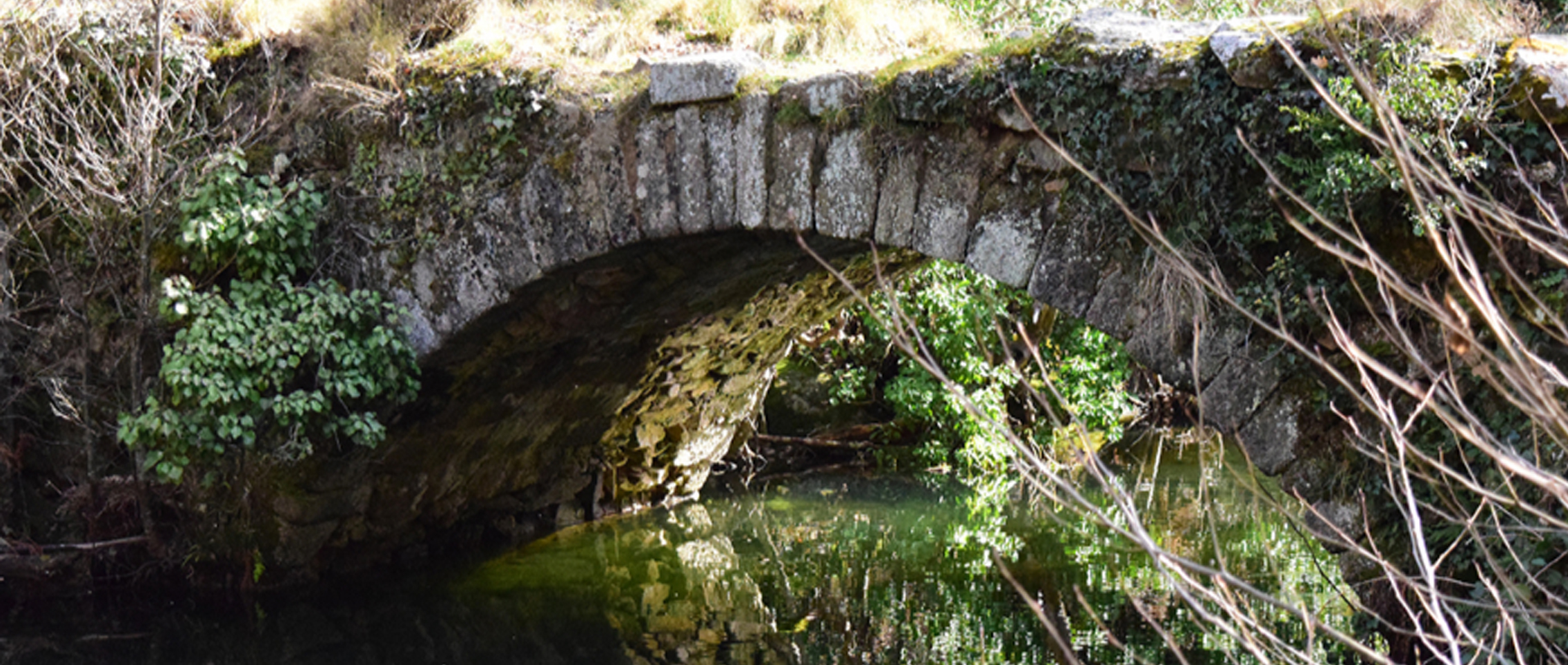 cabecera rutaspocandelario