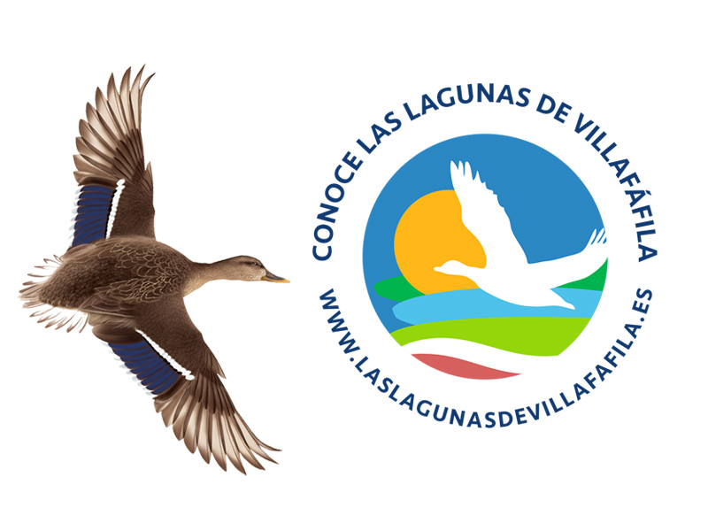 lagunasvillafafila portada5