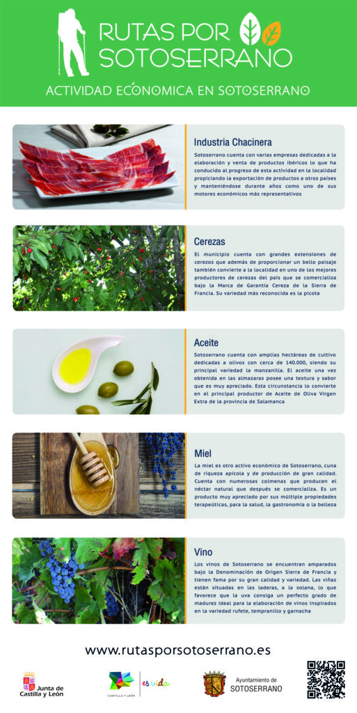 Placa ActividadEconomica