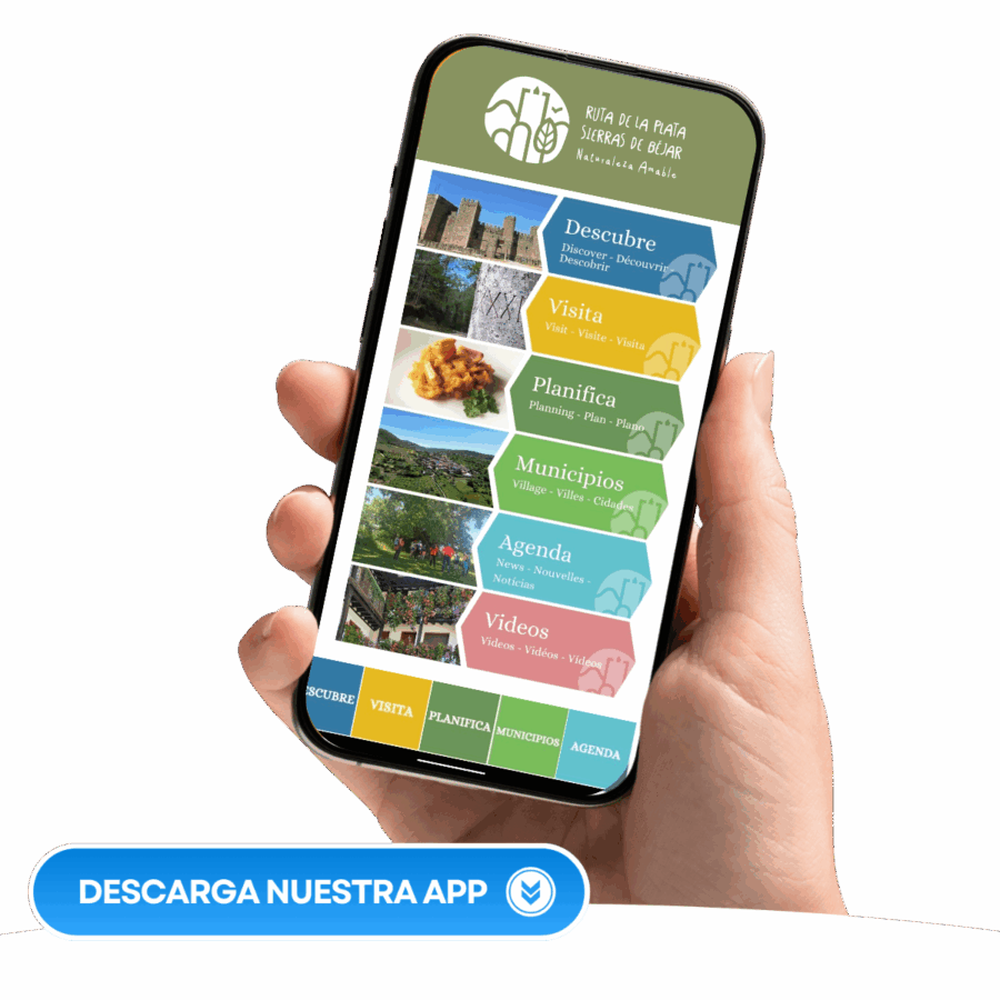 apprutaplata 1 e1751279452858