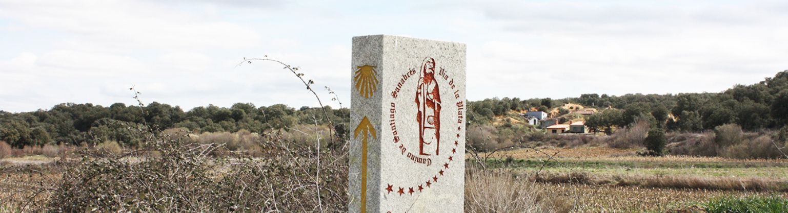 banner caminomozarabe