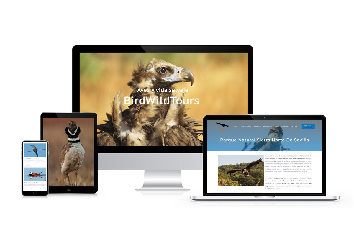 BirdWildTour Aves y Vida Salvaje