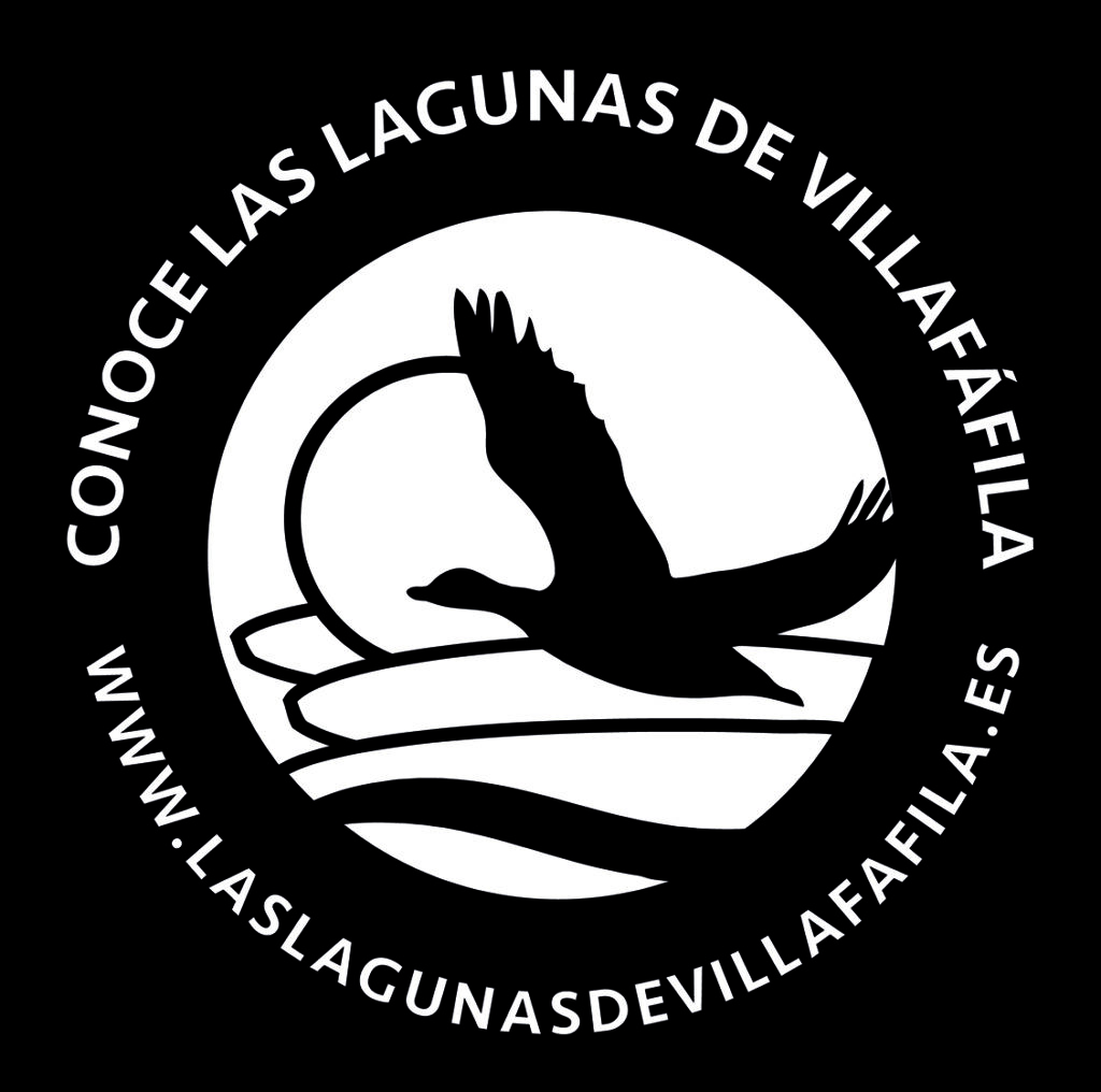 LogoLagunasdeVillafafila Negativo copia
