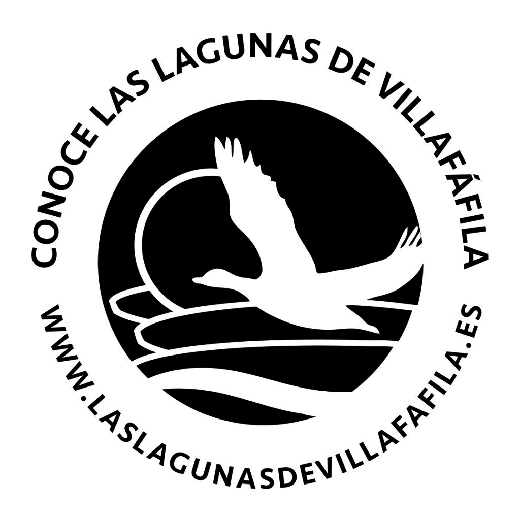 LogoLagunasdeVillafafila Positivo