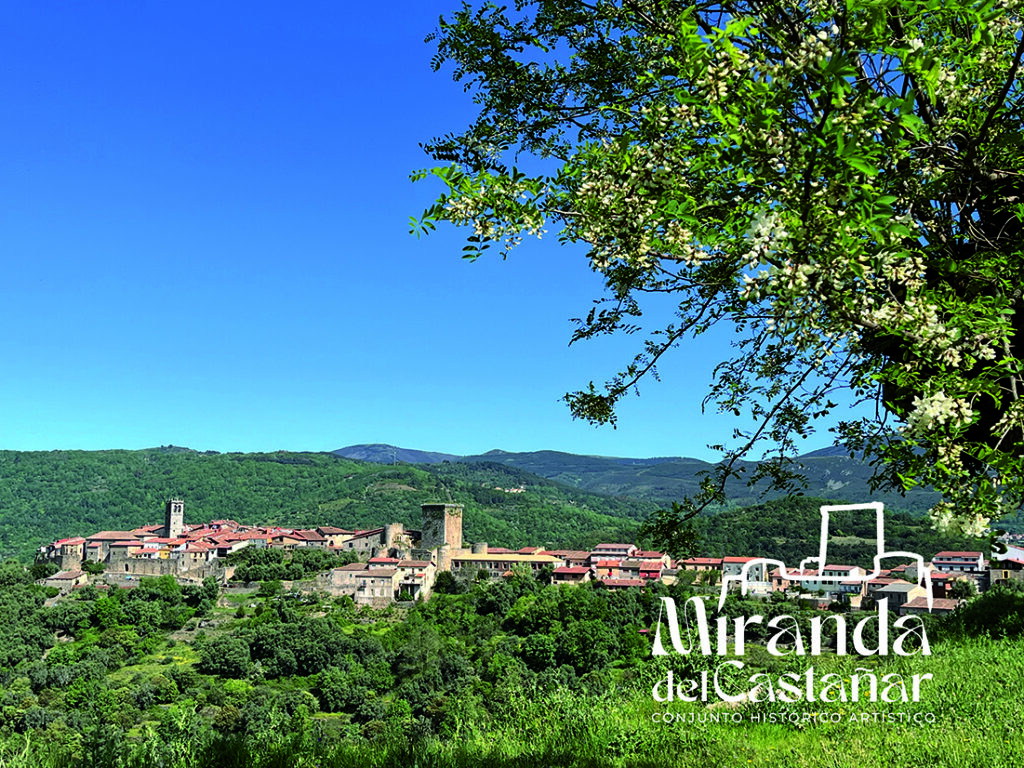 mirandapanoramica logo