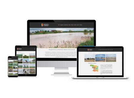 web aytomanganeses6 1